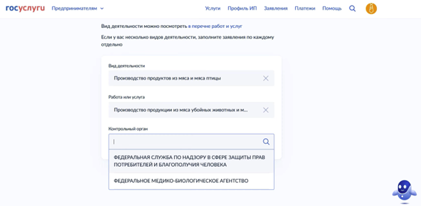 Выбор кодов ОКВЭД на Госуслугах